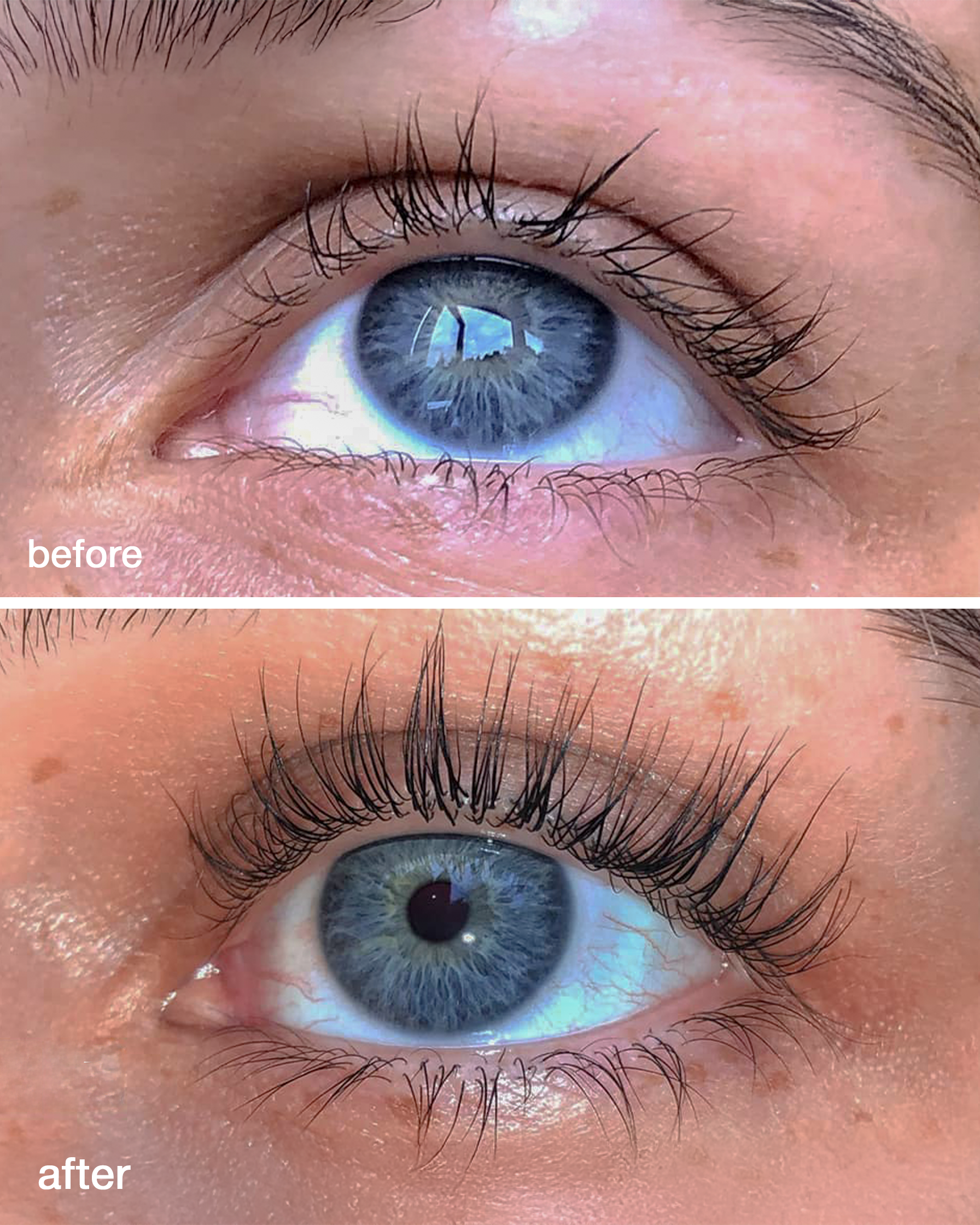 Lash Growth Serum