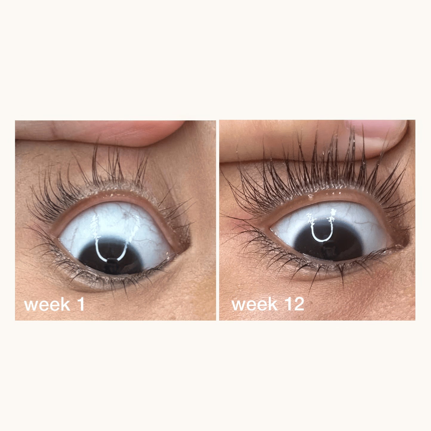 Lash Growth Serum