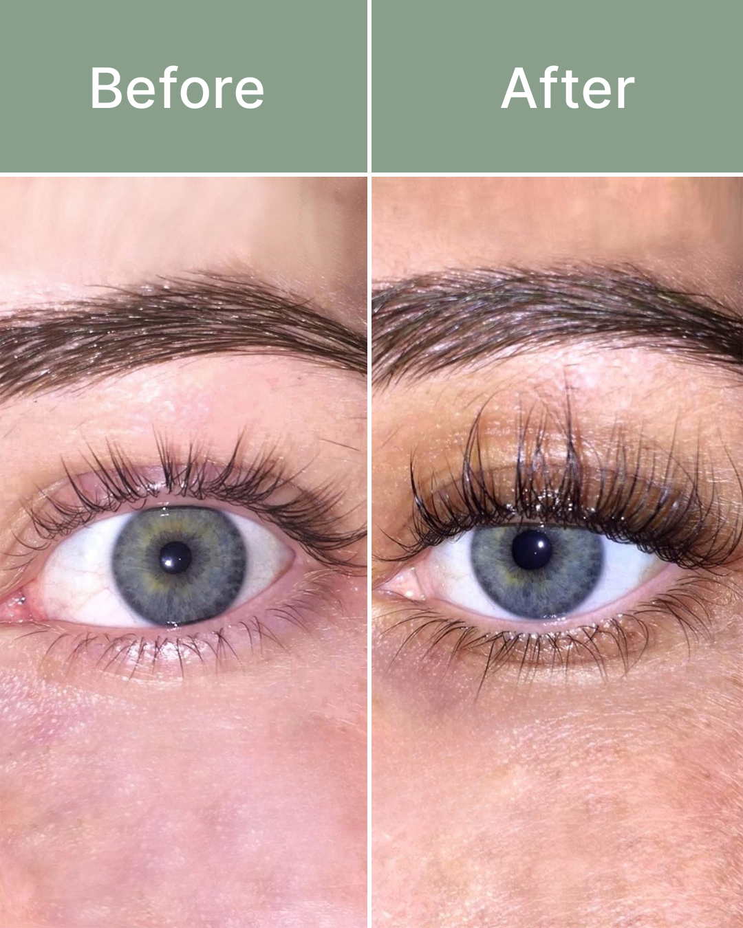 Lash Growth Serum